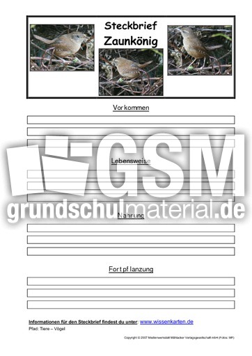 Steckbrief-Zaunkönig.pdf